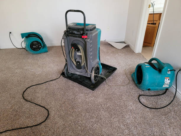 Water damage restoration insurance claims in Crittenden, KY