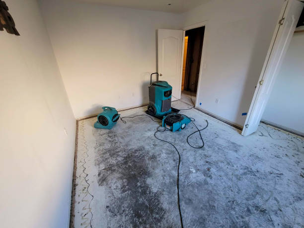 Best Basement water damage restoration  in Crittenden, KY