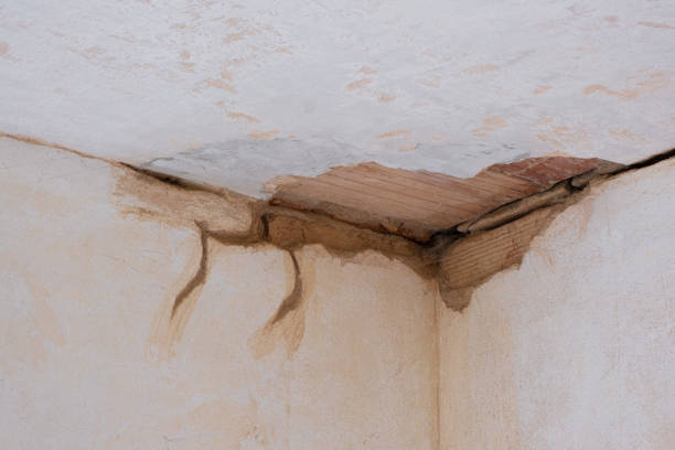 Best Fire Damage Restoration  in Crittenden, KY