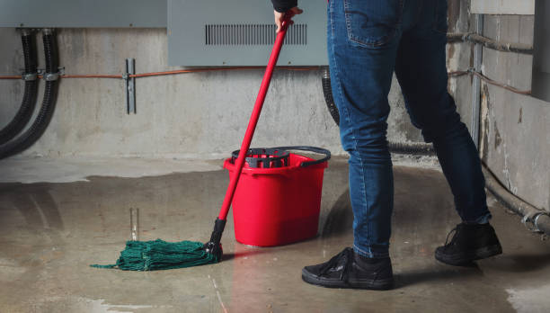 Reliable Crittenden, KY Water damage restoration Solutions