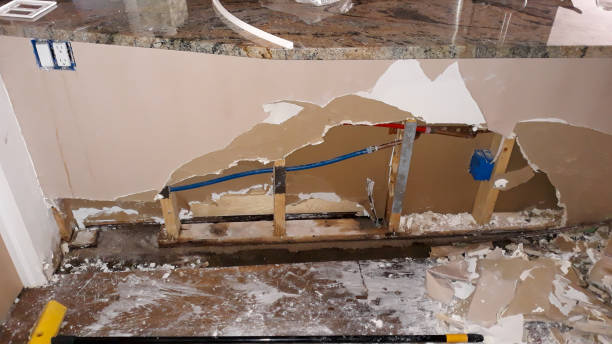 Best Carpet water damage restoration  in Crittenden, KY