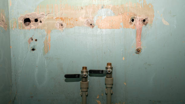 Best Water damage restoration near me  in Crittenden, KY