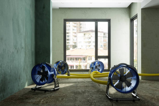Best Local water damage restoration  in Crittenden, KY